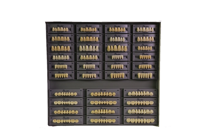 Teeth Living Mould Guide - Image 10