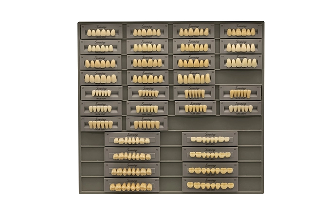 Teeth Living Mould Guide - Image 9
