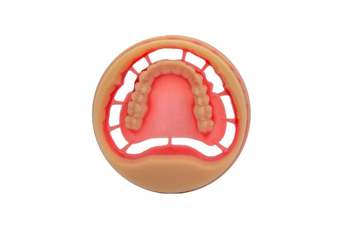 Digitalife Brilliance PMMA BLOCK (Full Denture PMMA Block) - Image 6