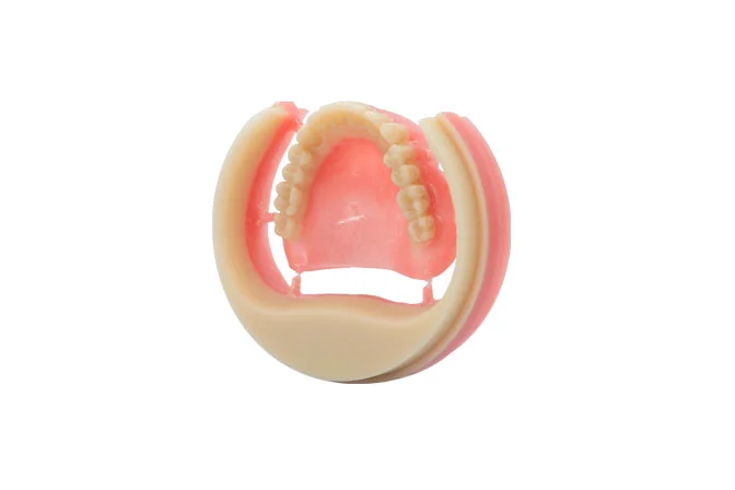 Digitalife Brilliance PMMA BLOCK (Full Denture PMMA Block) - Image 5