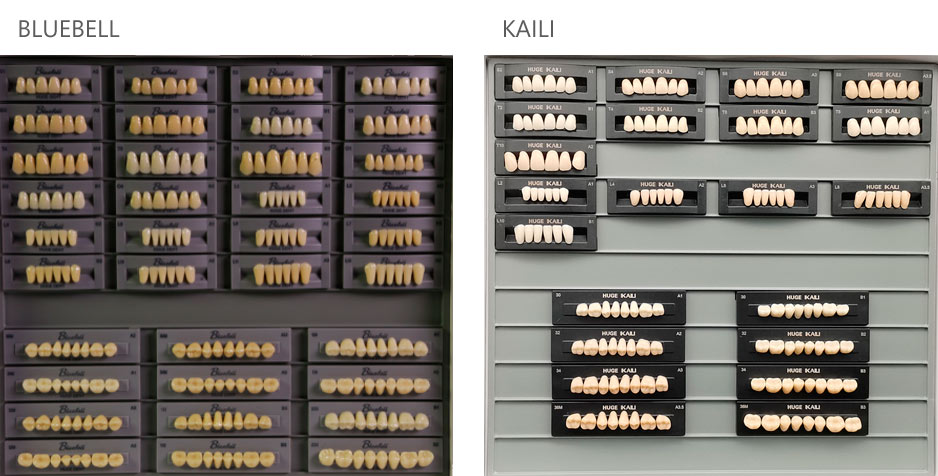 Teeth Living Mould Guide - Image 15