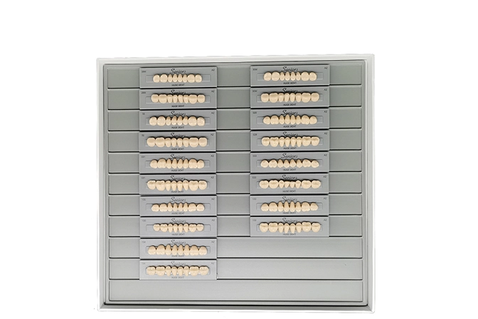 Teeth Living Mould Guide - Image 8