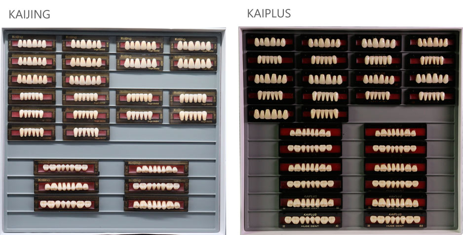 Teeth Living Mould Guide - Image 13