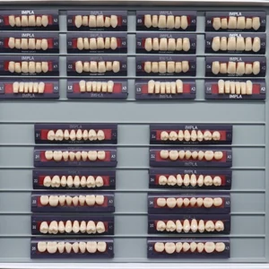 Teeth Living Mould Guide