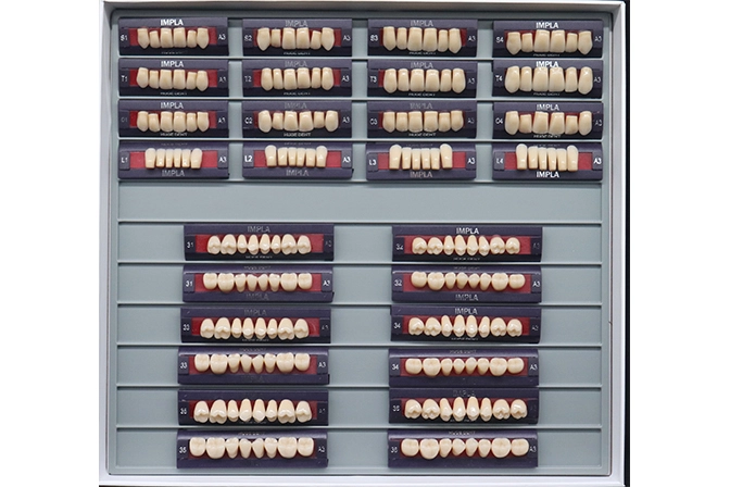Teeth Living Mould Guide