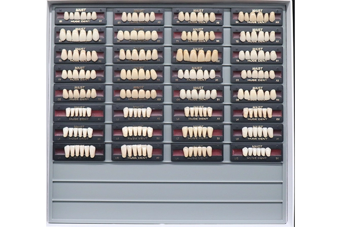 Teeth Living Mould Guide - Image 2