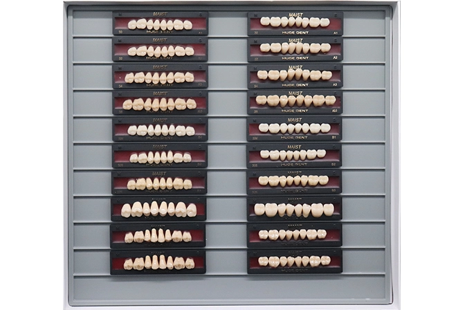 Teeth Living Mould Guide - Image 3