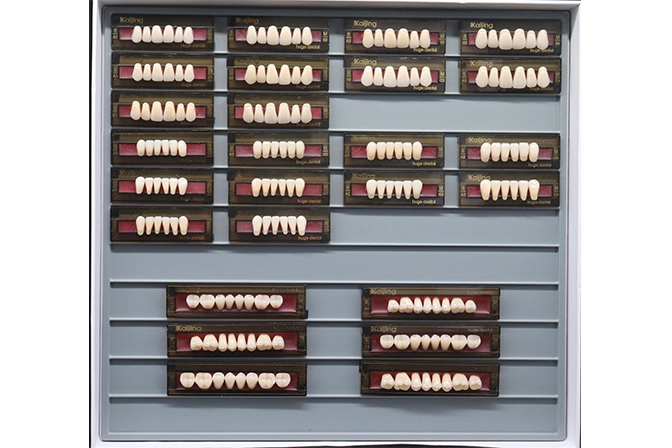 Teeth Living Mould Guide - Image 4