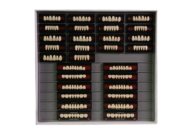 Teeth Living Mould Guide - Image 5