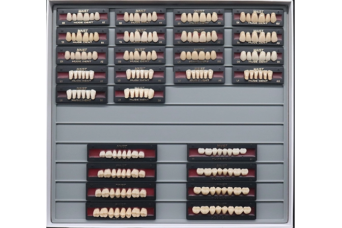 Teeth Living Mould Guide - Image 6
