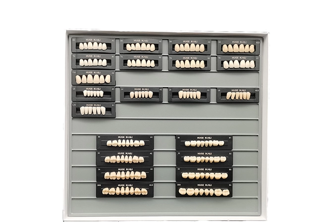 Teeth Living Mould Guide - Image 7