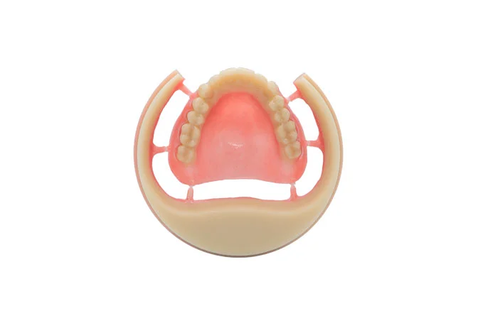 Digitalife Brilliance PMMA BLOCK (Full Denture PMMA Block) - Image 3